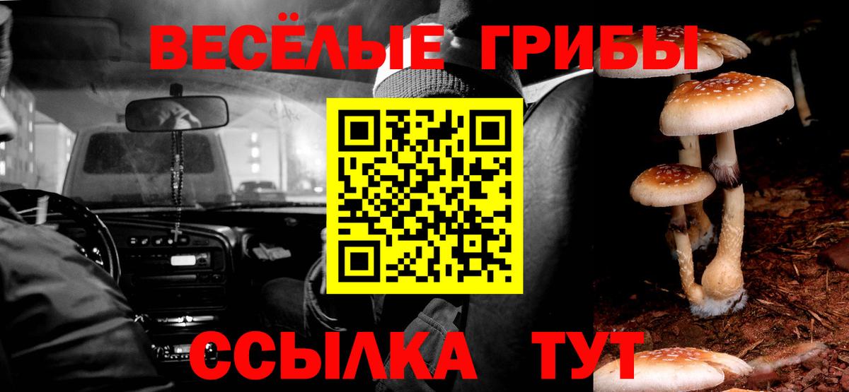 Комсомольск-на-Амуре  Галлюциногенные грибы Magic Shrooms  Вход с VPN 